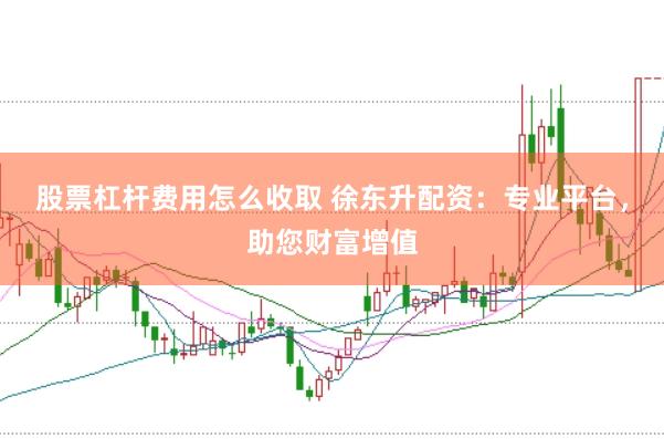 股票杠杆费用怎么收取 徐东升配资：专业平台，助您财富增值