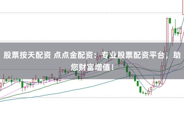 股票按天配资 点点金配资：专业股票配资平台，助您财富增值！