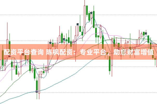 配资平台查询 陈枫配资：专业平台，助您财富增值