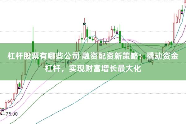 杠杆股票有哪些公司 融资配资新策略：撬动资金杠杆，实现财富增长最大化