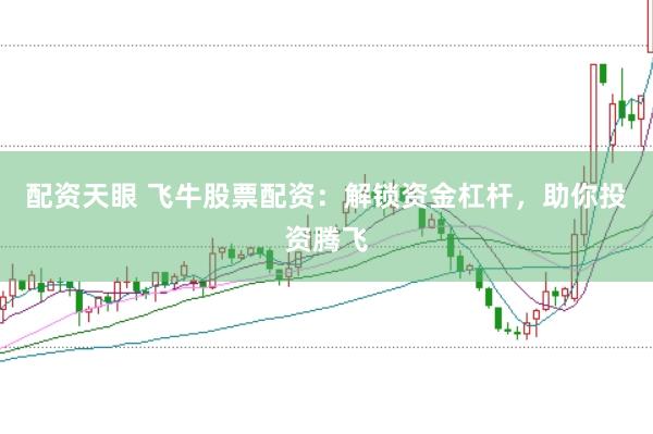 配资天眼 飞牛股票配资：解锁资金杠杆，助你投资腾飞