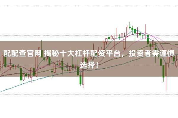 配配查官网 揭秘十大杠杆配资平台，投资者需谨慎选择！