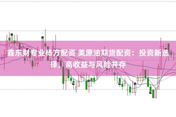 鑫东财专业杨方配资 美原油期货配资：投资新选择，高收益与风险并存